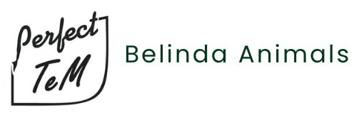 Belinda Animals